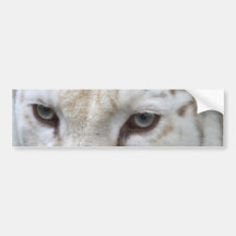 white tiger bumper stickers