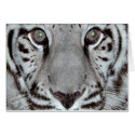 White Tiger cards