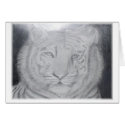 White Tiger cards