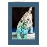 White Tiger Card