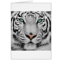 White Tiger Card