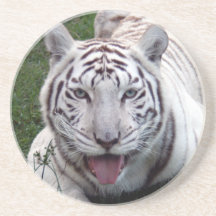 White Tiger Coaster