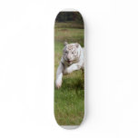 White Tiger-DSC_3825e skateboards