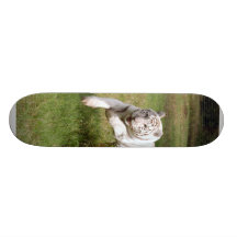 White Tiger-DSC_3825e Skateboards