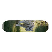 White Tiger-DSC_4657e Skateboard Deck