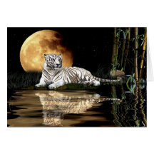 WHITE TIGER Endangered Species Series Greeting Card