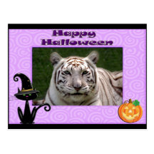 White Tiger Halloween Postcard