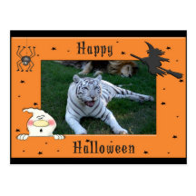 White Tiger Halloween Postcard