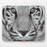 White Tiger Mouse Mats