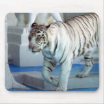 White Tiger Mouse Pads