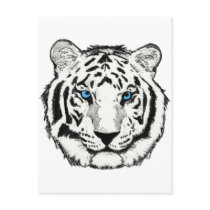 White tiger postcard