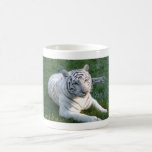 White Tigers on Mugs, Steins & Travel Mugs