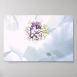 White Tree Peony Flower Posters