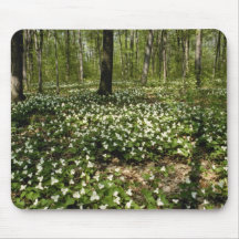 white Trilliums, Morgan Arboretum, Montreal, Quebe Mousepad