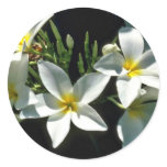 White Tropical Flowers With Yellow Center flowers Sticker