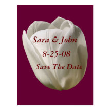 White Tulip Flower Save The Date Wedding Postcard