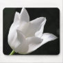 White Tulip Mousemat