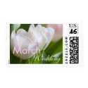 White Tulips • March Wedding Stamp