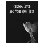 White Tulips Photo On Black Background flyers
