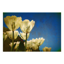 White Tulips Photo with Floral Swirl Pattern