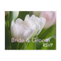 White Tulips • RSVP Postcard