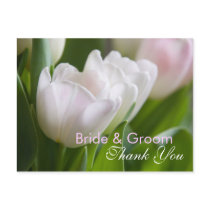 White Tulips • Thank You Postcard