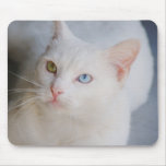 White Van cat with one green eye & one blue eye mousepads