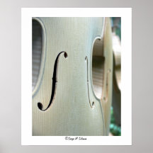 White Violas Print