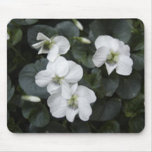 White Violets Mousepad