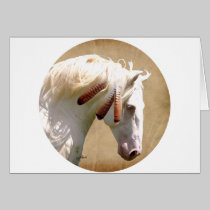 White War Horse cards