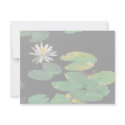 White water lily invitations