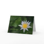 White Water Lily Message Card