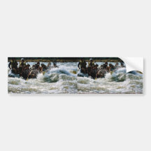 White Water Rafting Bumper Sticker