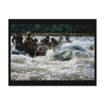 White Water Rafting Postcards