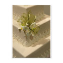 White Wedding Cake postcards