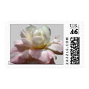 White Wedding Flowers Rose Postage Stamps