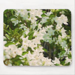 White Weigela Candida Mouse Pads