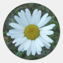 White wild flower stickers