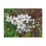 White Wildflower & Bee Fly Post Cards