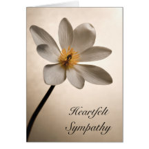 White Wildflower Sympathy Card