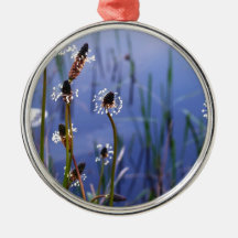 White wildflowers and water christmas tree ornaments