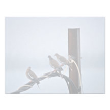 White-winged Doves Custom Invitations
