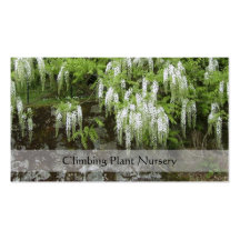 White wisteria business card