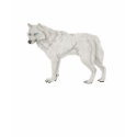 White Wolf t-shirts