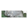 White Wolf Wildlife Supporter Bumper sticker
