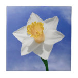 White Yellow Daffodil Decorative Ceramic Tile