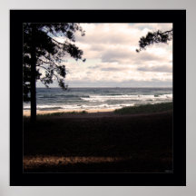 Whitecaps Posters
