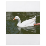 WhiteDuck flyer