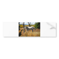 WhiteHorse bumper sticker
