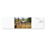 WhiteHorse bumper sticker